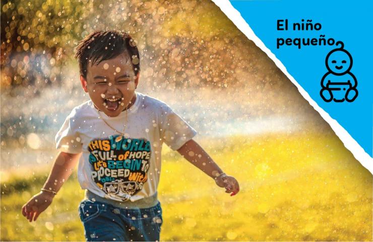 Manejo de Límites y Berrinches en Toddlers