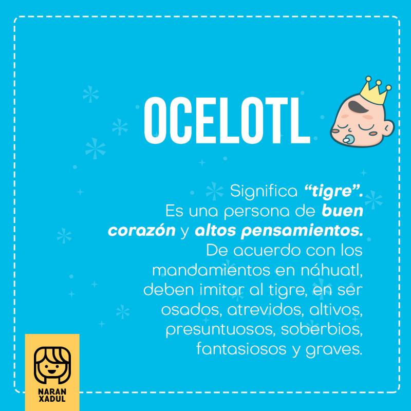 Significado de Ocelotl
