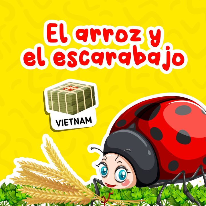 El arroz y el escarabajo