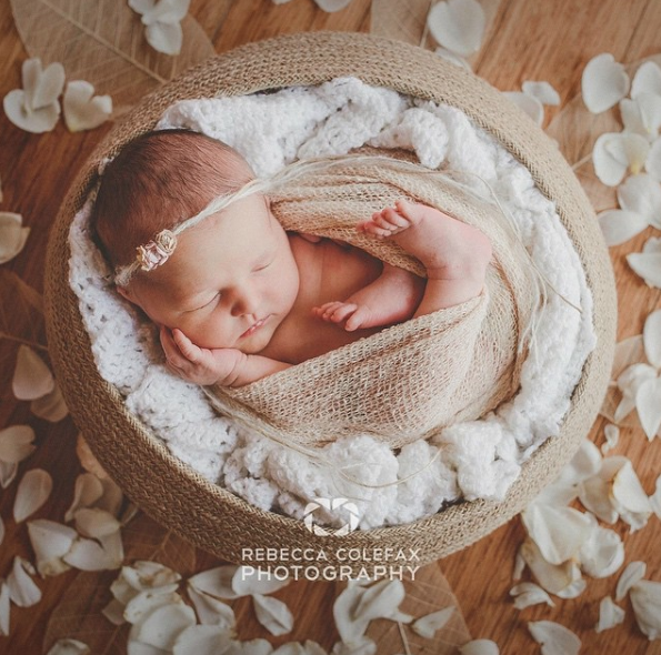 https://www.instagram.com/explore/tags/rebeccacolefaxnewborns/