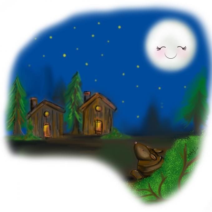 La noche del armadillo