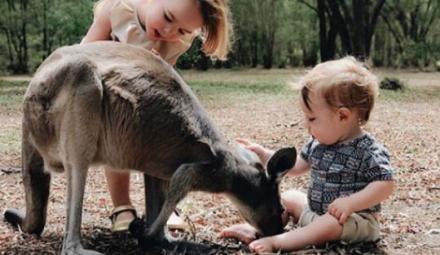 Foto: IG @chasingthesummerfields