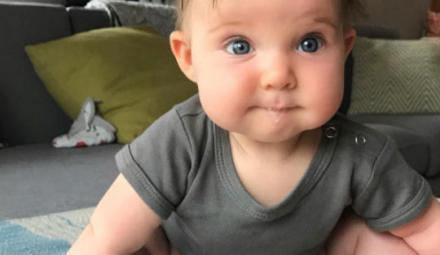 Foto: IG @bannortoys