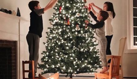 Foto: IG @lauries_little_ones