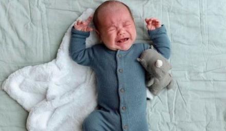 Foto: IG @bannortoys