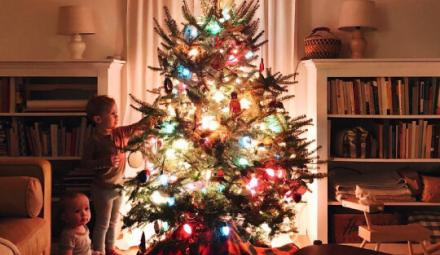 Foto: IG @burtsbrisplease