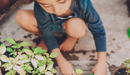 Foto: IG @ivonnebvega